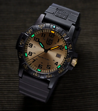 Load image into Gallery viewer, Luminox 0325.GP
