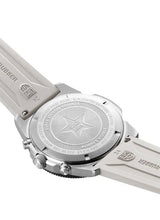 Load image into Gallery viewer, Luminox 3141
